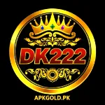 Dk222 game logo