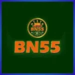 BN55 Game
